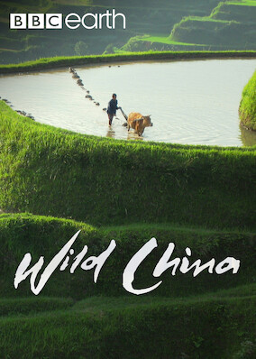 Wild China