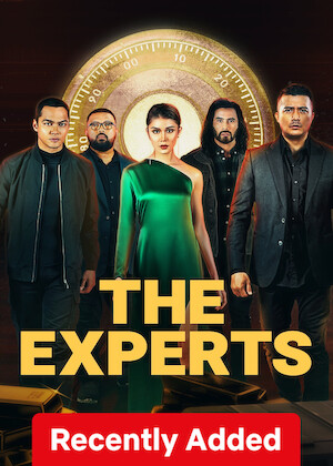The Experts poster